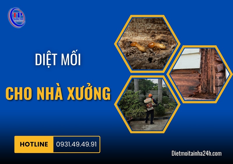 Diệt mối cho nhà xưởng tận gốc CHUYÊN NGHIỆP giá rẻ - Dietmoitainha24h.com