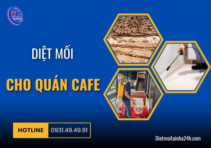 Diệt mối cho quán cafe triệt để 99.8% AN TOÀN giá tốt - Dietmoitainha24h.com