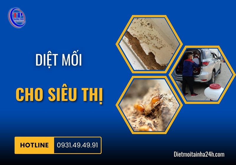 Diệt mối cho siêu thị hiệu quả 99.8% bảo hành UY TÍN - Trung Tâm Diệt Mối 24H