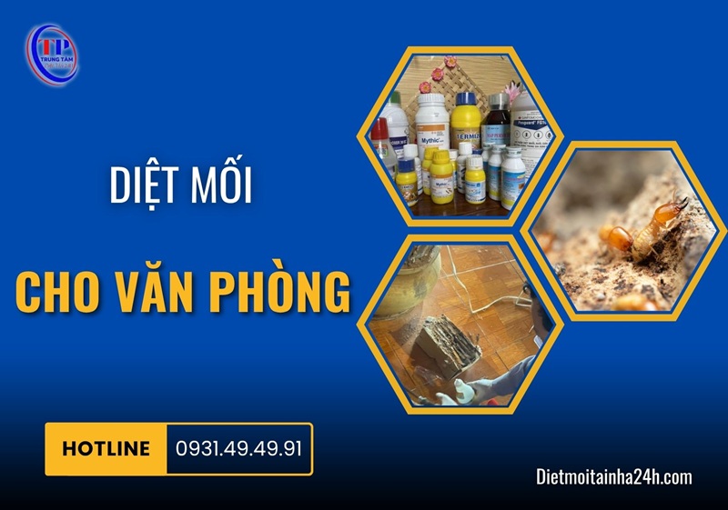 Diệt mối cho văn phòng TẬN GỐC uy tín giá cạnh tranh - Dietmoitainha24h.com