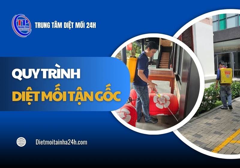 Quy trình diệt mối tận gốc 99.8%: 5 bước CHI TIẾT