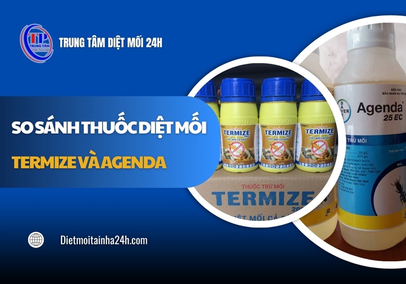 So sánh thuốc diệt mối Termize và Agenda: Loại nào TỐT?