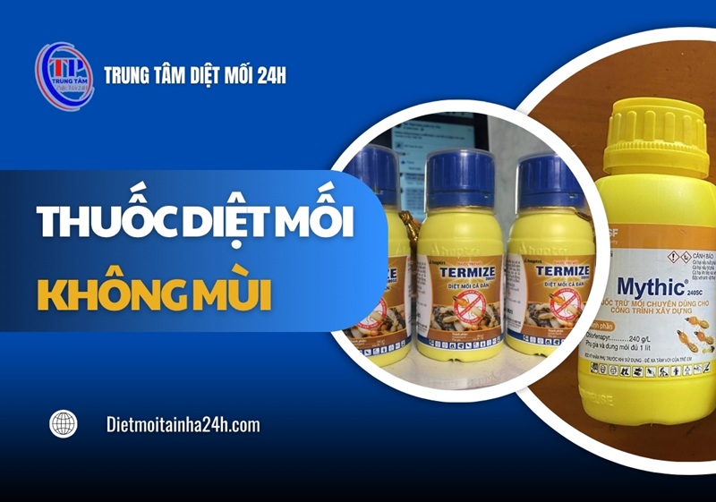 TOP 4 loại thuốc diệt mối không mùi AN TOÀN hiệu quả