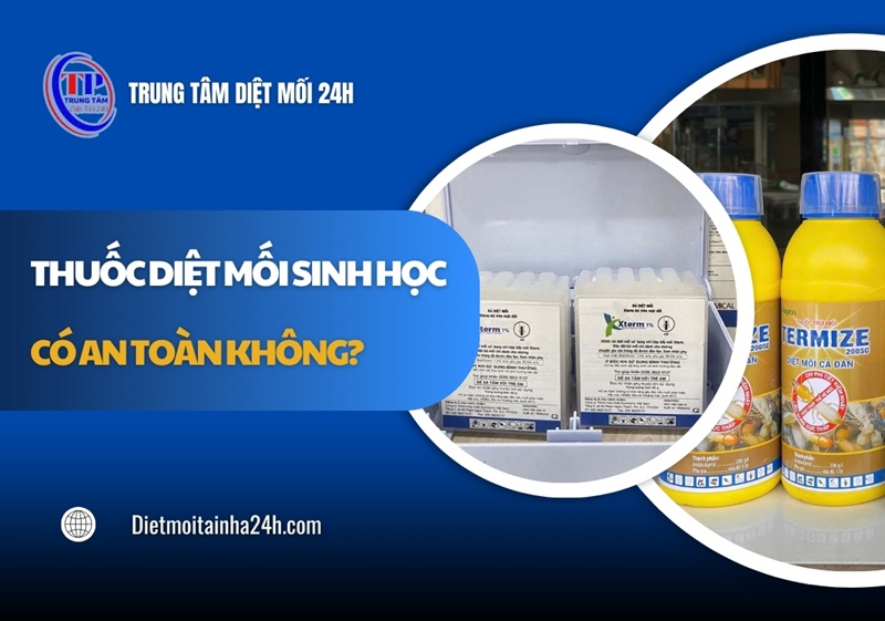 Thuốc diệt mối sinh học có an toàn không? Thông tin CẦN BIẾT