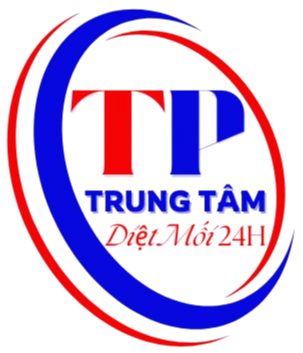 Diệt Mối Tại Nhà 24h