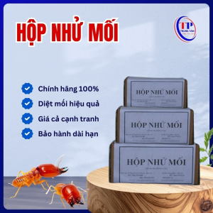 Hộp nhử mối